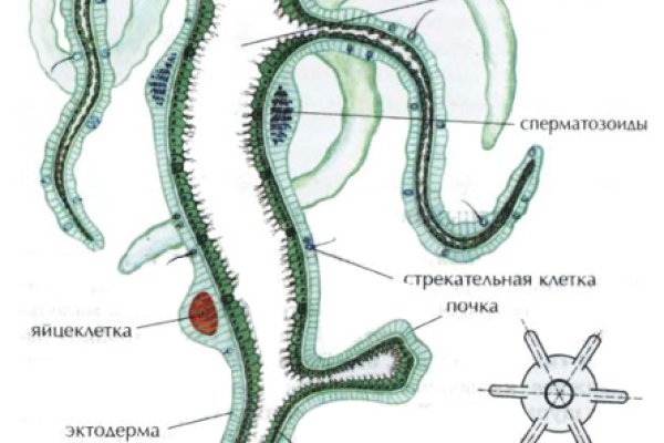 Кракен ссылки тор рабочая